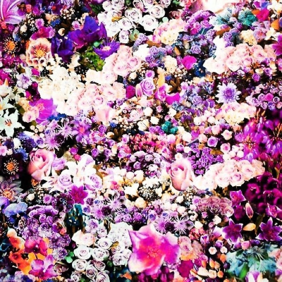 cuteblossom
